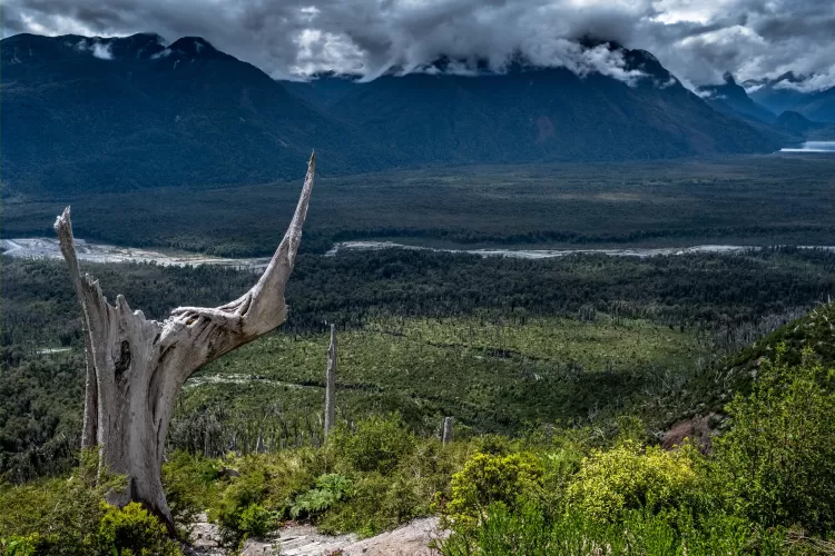 Por qué vivir en el sur